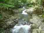 06082109.DSC03119.jpg